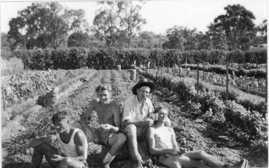 Photograph - Black and white print, Burnley Gardens Vegetable Patch C.R.T.S. Students 1948, 1948
