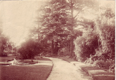 Photograph - Sepia print, Garden View, 1916