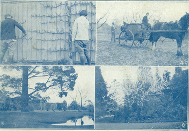 Photograph - Colour print, The Australian Garden Lover, "An Australian Horticultural School.", 1926