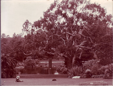 Photograph - Sepia print, View of Botanic Gardens, Unknown