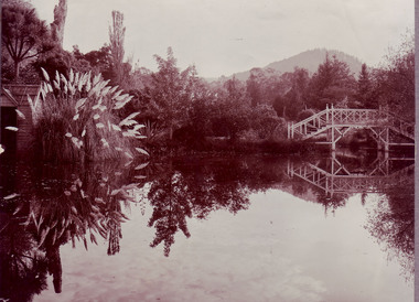 Photograph - Sepia print, Macedon Garden View, Unknown