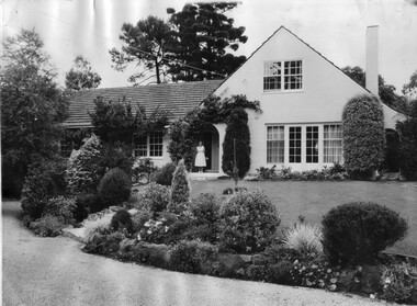 Photograph - Black and white print, Your Garden Magazine, A Good Example of Shrub Placement, 1960