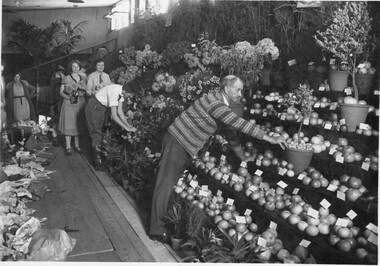 Photograph - Black and white print, Horticultural Display, 1930
