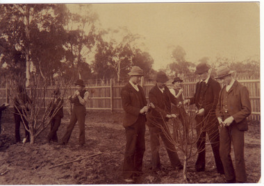 Photograph - Sepia print, A.E. Bennett, Students Working in the Orchard, 1894-1990