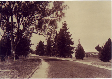 Photograph - Sepia print, A.E. Bennett, Entrance Gates, 1894-1990