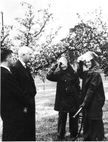 Photograph - Black and white print, Students Spraying Fruit Trees, 1966