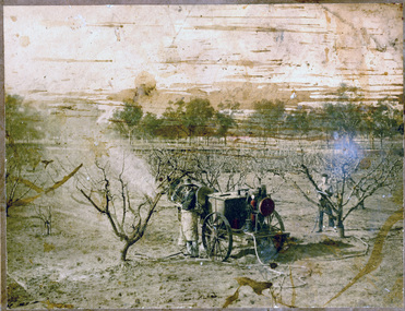 Photograph - Colour print, Spraying in the Orchard, 1890's