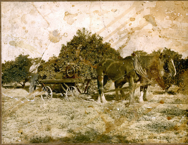 Photograph - Colour print, Spraying in the Orchard, 1890's