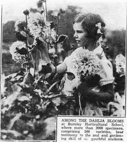 Photograph - Black and white photocopy, Dorothy Baker, Among the Dahlia Blooms, 1931-1933