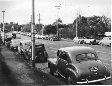 Photograph - Black and white print, Parking for Pruning Demonstration, c. 1946