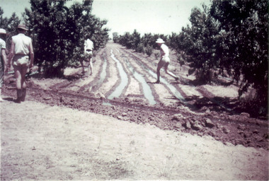 Photograph - Colour print, Sojourn at Tatura Research Station, 1960