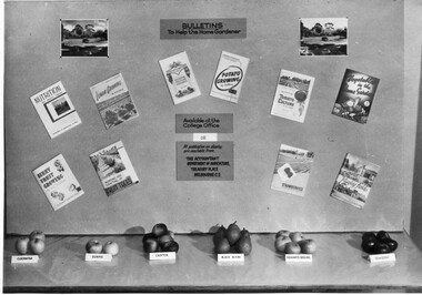 Photograph - Black and white print, Publicity Branch Victorian Department of Agriculture, Bulletins to Help the Home Gardener, 1962