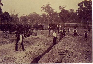 Photograph - Colour photocopy, A.E. Bennett, Students Laying Agricultural Drains, c. 1894