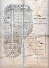 Photograph - Black and white print, Alfred Lynch, Plan of the Experimental Gardens, 1861-1991