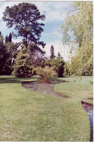 Photograph - Colour print, Garden View, 1991