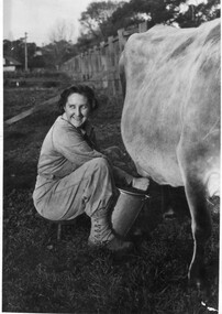 Photograph - Black and white print, Herald Feature Service, Mervyn Davis Milking, 1945