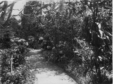 Photograph - Black and white print, Garden View, 1913