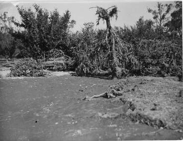 Photograph - Black and white print, A.P. Winzenried, Flood Damage, 1934