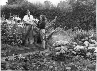Photograph - Black and white print, College photographs, Vegetable and Flower Plots, c. 1950