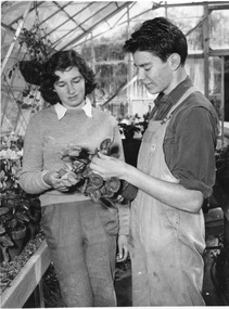 Photograph - Black and white and colour prints, Publicity Branch Victorian Department of Agriculture, Students Inside Glasshouse, c. 1960
