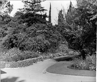 Photograph - Black and white print, Garden View