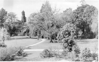 Photograph - Black and white print, Garden View, 1970