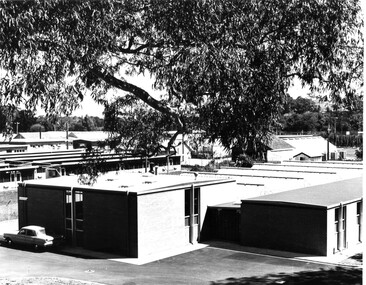 Photograph - Black and white print, Plant Nursery, 1966