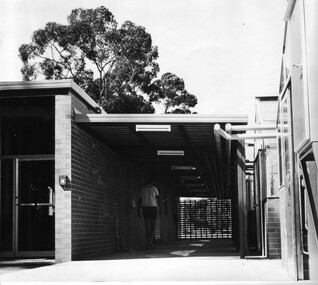 Photograph - Black and white print, Plant Nursery, 1966