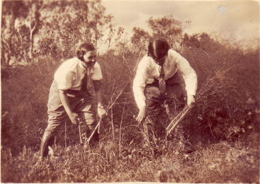 Photograph - Sepia print, Carine Williams (nee Wettenhall) et al, Pat McVickar and-Mathews Hard at it 1929, 1929