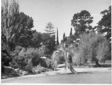 Photograph - Black and white print, Helen Dudley, Garden View, 1944-1945