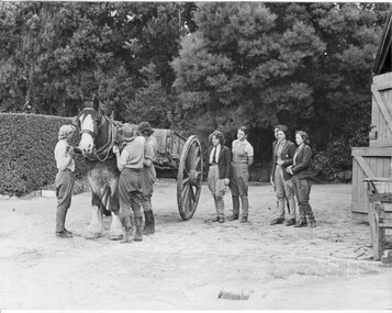 Photograph - Black and white print, Steven Henty, Harnessing a Draught Horse, c. 1940