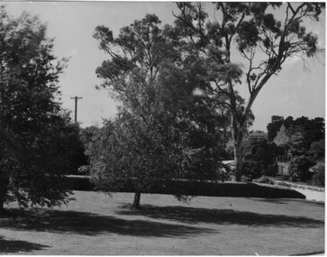 Photograph - Black and white print, A.W. Jessep, View Towards Swan Street, 1941