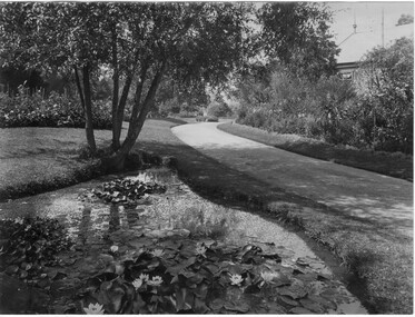 Photograph - Black and white print, Garden Scene With Pavilion in the Background, 1913