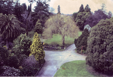 Photograph - Colour photocopy, James (Jim) Pleasance, Garden View, 1990