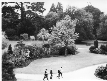 Photograph - Black and white print, Garden View, 1955-1960