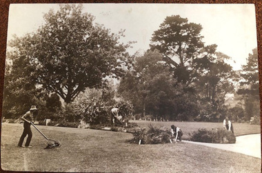 Photograph - Black and white and sepia prints, Information Branch Victorian Department of Agriculture, Students Working in the Gardens, 1913