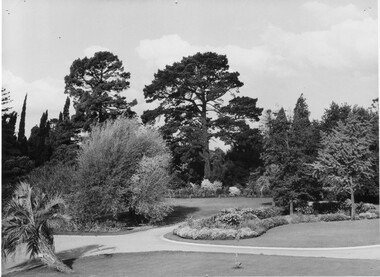 Photograph - Black and white print, Garden View, 1953