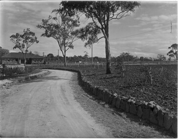 Photograph - Black and white print and negative, Plant Reearch Laboratory, 1932