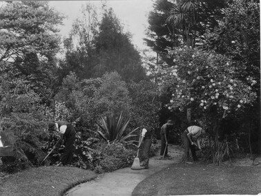 Photograph - Black and white print, Students Working in the Gardens, 1913