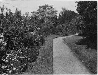 Photograph - Black and white print, Garden View, 1913