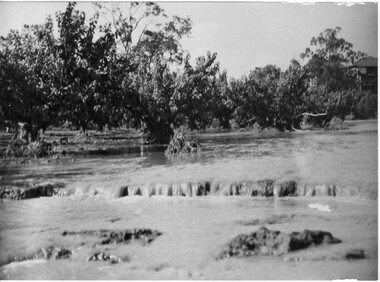 Photograph - Black and white print, Orchard in Flood, 1934