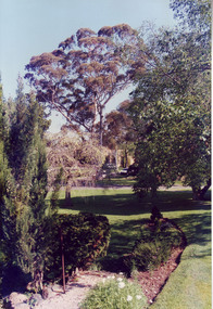 Photograph - Colour print, Garden View, c. 1990