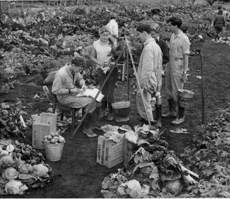 Photograph - Black and white print, Students Weighing Vegetables, 1964