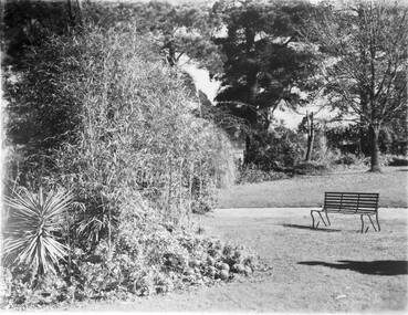 Photograph - Black and white print, Garden View