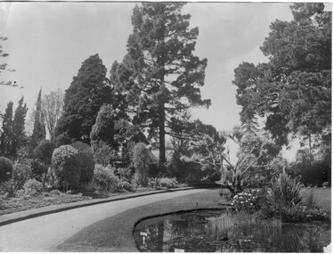 Photograph - Black and white print, Garden View, c. 1916