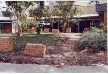 Photograph - Colour print, Construction of Paving to Plant Science Laboratory, 1996