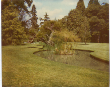 Photograph - Colour polaroid prints, Luffmann Ponds, Unknown