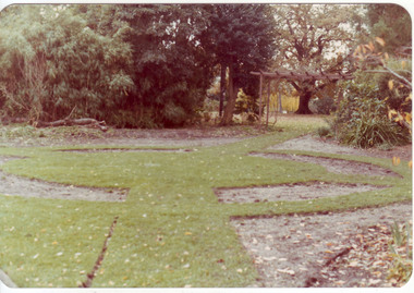 Photograph - Colour print, Burnley Rose Garden, 1981