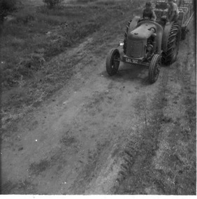 Photograph - Black and white print, Student Harvesting Activities, 1947-1948