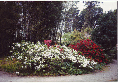 Photograph - Colour print, Edna Geyeregger, Sculpture Exhibition 1991, 24 September 1991